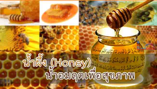 น้ำผึ้ง (Honey) น้ำอมฤตเพื่อสุขภาพ