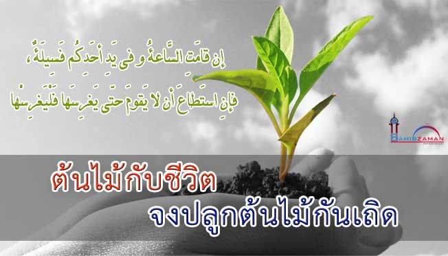 ต้นไม้กับชีวิต จงปลูกต้นไม้กันเถิด
